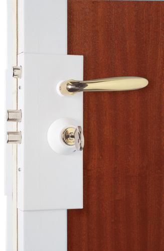 SERRURE DE SÉCURITÉ FICHET VERTIPOINT A2P* A BANDOL (83)